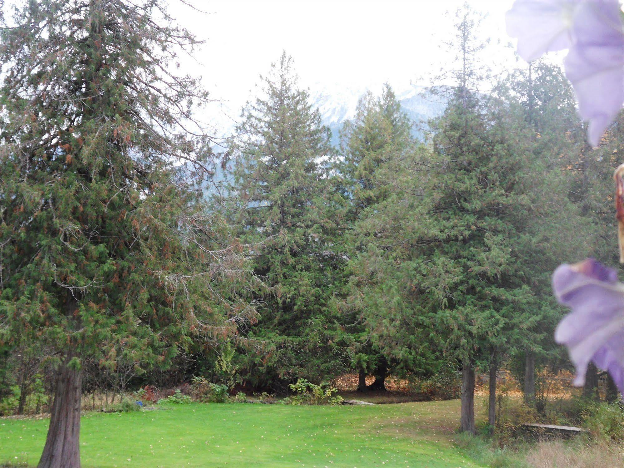 The Hitching Post Motel Pemberton Extérieur photo